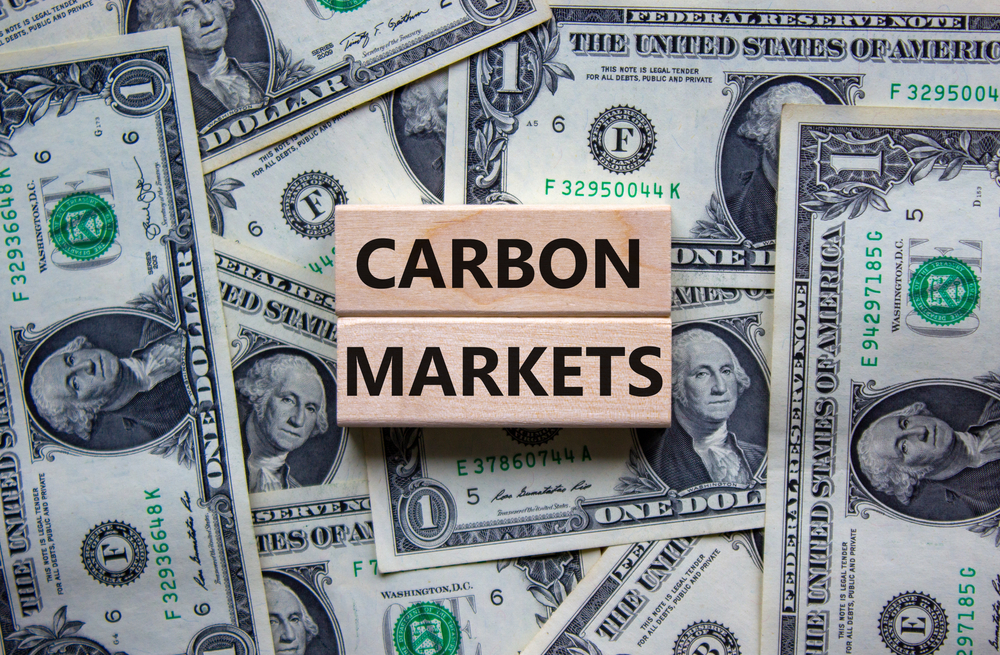 Carbon Markets Proving Resilient in 2022