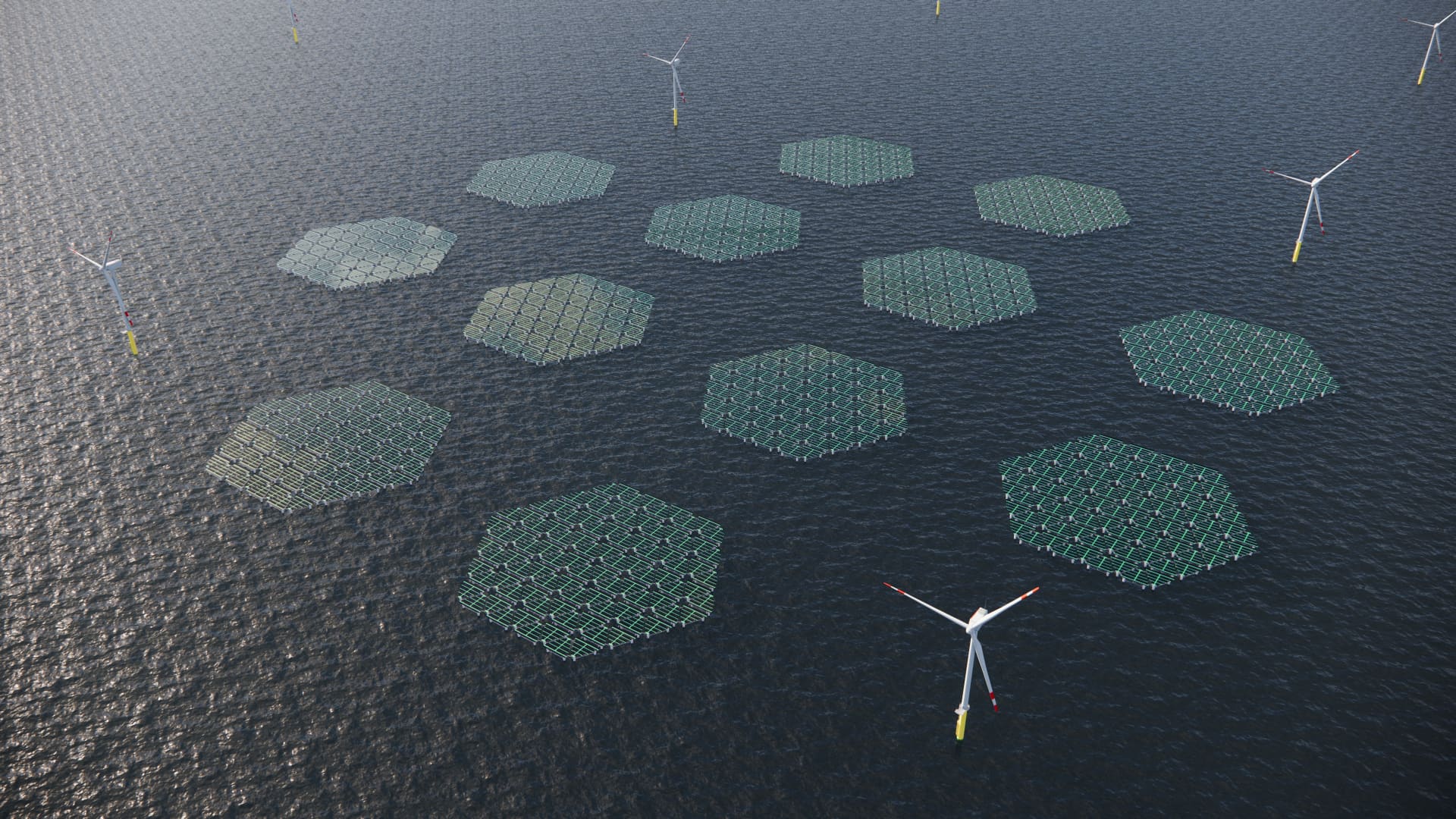 Europe's energy giants explore potential of floating solar