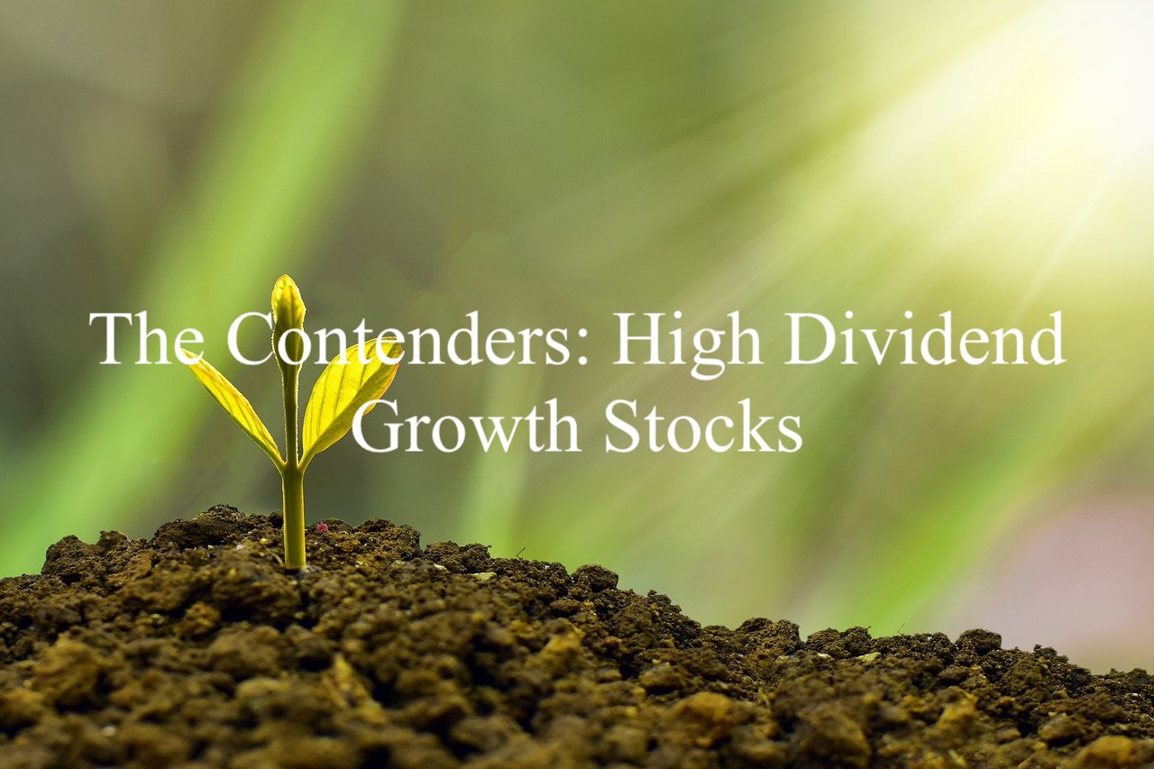 Contenders High Growth
