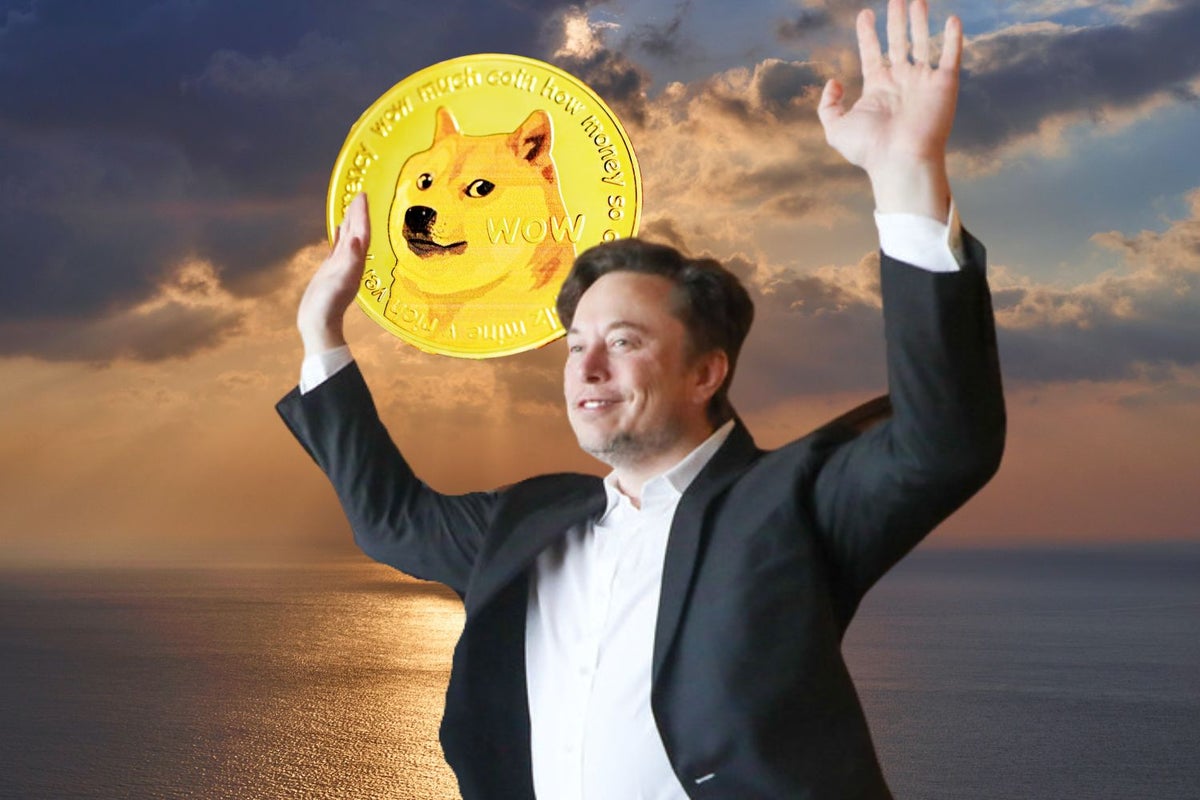 'I'm Mainly Supporting Doge': Elon Musk Likes Dogecoin's Memes, Dogs And Sense Of Humor