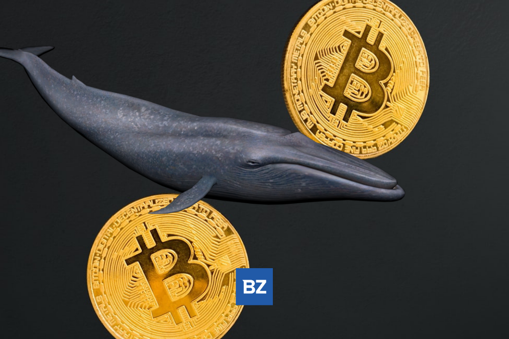 Bitcoin Whale Moves 3,107 BTC Off Coinbase