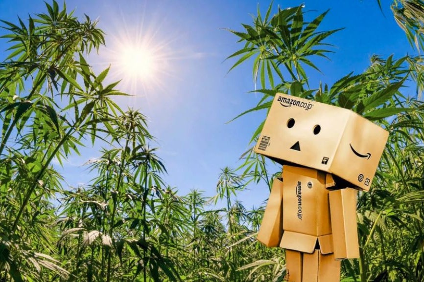 Amazon Rejected Your Job Application Due To Weed Use? Worry Not, You May Be Eligible Now
