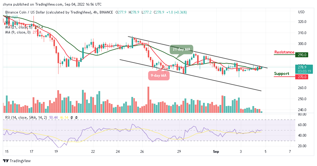 BNB Could Test Support at $250 as TAMA Jumps Northwards