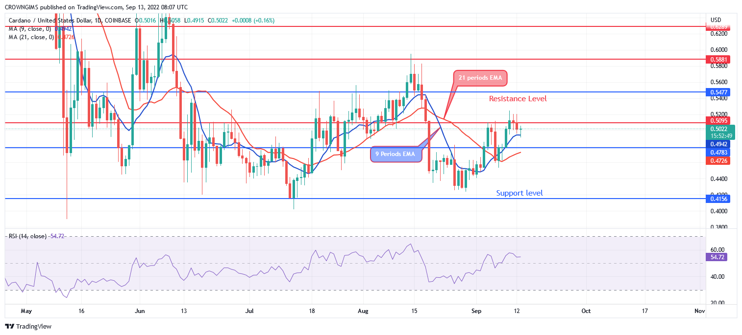 Cardano Price Retracement at $0.5 Level, Tamadoge Heads to the North