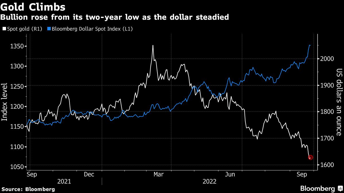 Gold Rises From Two-Year Low as Dollar Slides After Record High
