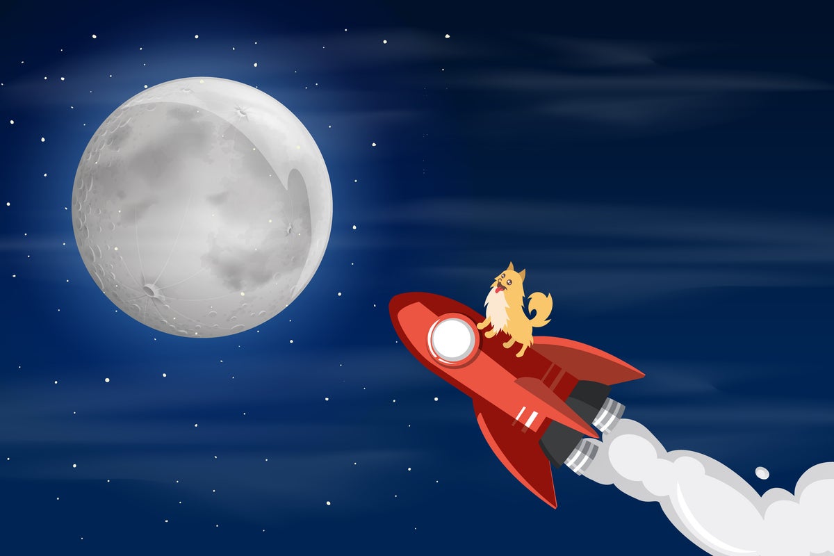 Much Wow: Elon Musk Revives $44B Twitter Offer, Keeps Dogecoin Out Of Doghouse - Dogecoin (DOGE/USD)