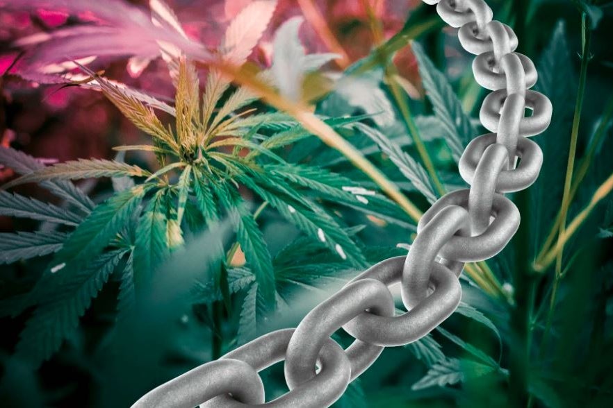 Bond With Consumers: Blockchain-Based App Allows Hemp Companies Streamline Their Business