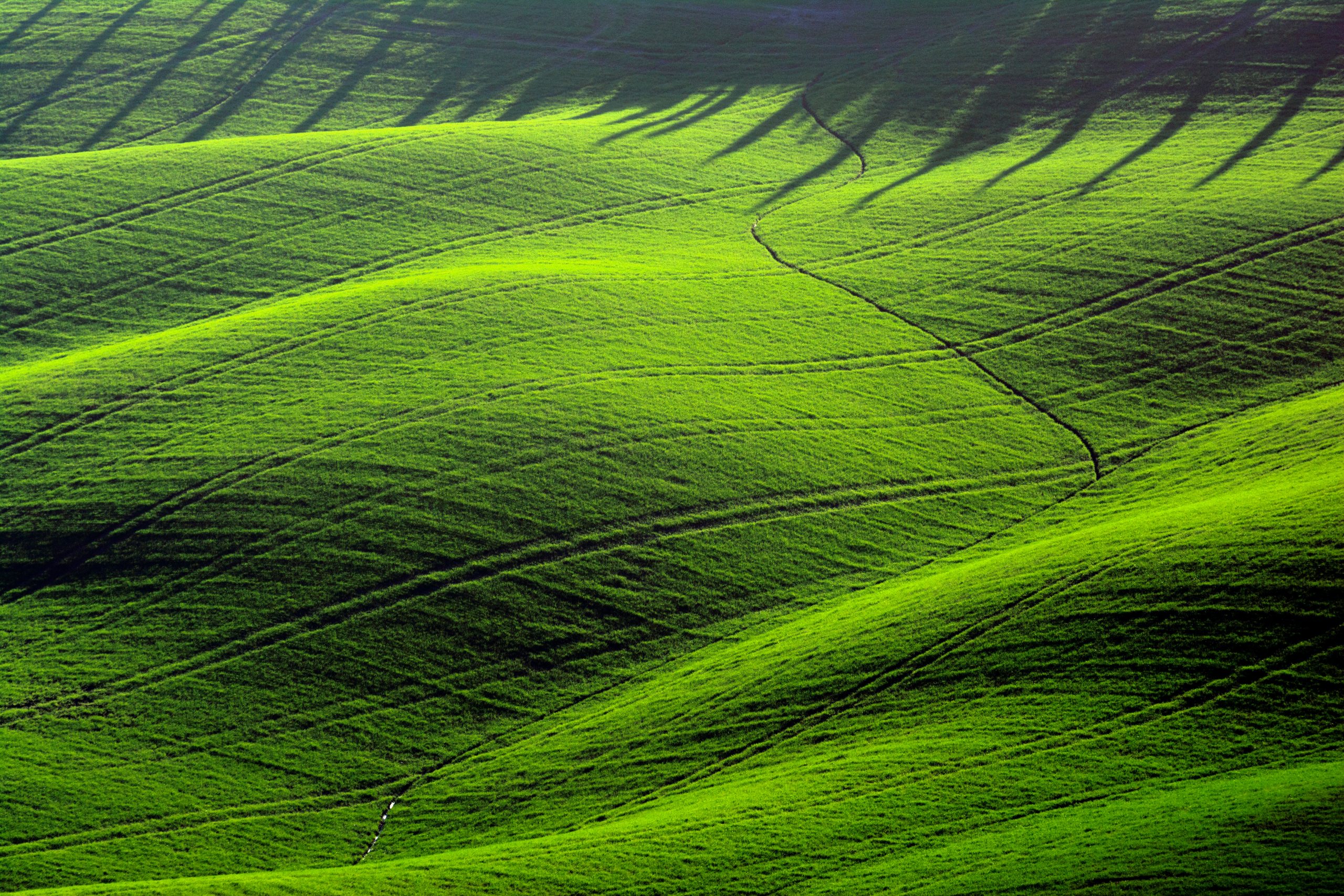 How Stock Exchanges Build a Greener World